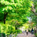 인창중앙공원(산책로) 이미지