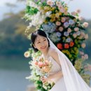 미화장식 | 대전본식 더리스 4월 야외웨딩 후기, 플라워디렉팅 엘렌디레브, 본식스냅 헤이지야