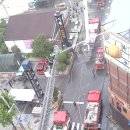 호박나이트 이미지