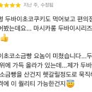 마시카롱 이미지