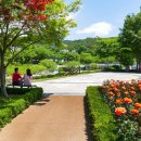 구목정공원 이미지