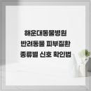 힐 동물병원 | 해운대동물병원 반려동물 피부질환 종류별 신호 확인법