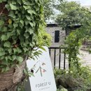 안덕시장 | [서귀포 안덕] 애견동반 제주감성카페 포레스트제이 카우셰드 방문후기(귤밭+돌창고+우사)🍊🪨🐮
