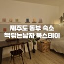 책닦는남자 | 제주도 동부 10만원 미만 감성숙소 <책닦는남자 북스테이> 후기