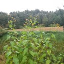 덕두원길 이미지