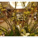 엘리제호텔 이미지