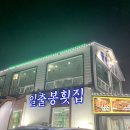 부산사람이 속초여행가서 먹은 회맛은? 솔직후기