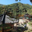 용문사