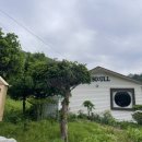 소울soull