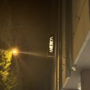 FLORA | 루체른 숙소 / 아메론 루체른 호텔 플로라 ( AMERON Luzern Hotel Flora ) 숙박 후기