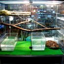 진열농장 이미지