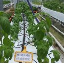 스위트허브 이미지