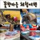 심동리 산촌 영농조합법인 | 충남 판교권역 심동리 산촌마을 /꽃향마을 체험여행