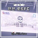 상록수전자 | 털보네 액상공장 로드FC 공식 스폰서 안산 상록수체육관