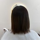 이엘붙임머리