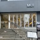 강남그린빌 앞 | [서울]한티점 MUI미용 부시시한머리 탈출 한날 테오디자이너쌤