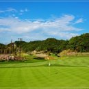 영동 일라이트CC 이미지