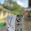 하얀민들레 이미지