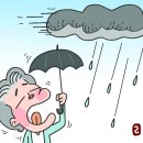 삽시간 과 ... 이미지