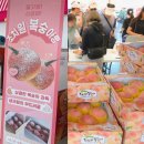 도담동_싱싱장터1호점 | 2025 세종 조치원 복숭아축제 기본정보 축제기간 셔틀버스 초대가수 드레스코드 준비물 물총!