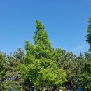 신명태권도 이미지