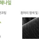 헤나킹