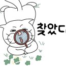 양주고양이분양 모나미네코 옥정신도시점 이미지