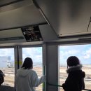 엘사다인 | 🇯🇵5인 가족 오사카 여행 숙소 추천, 에스리드 호텔 내돈내산 솔직 후기(아리가또~)