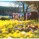 신원청연마을 이미지