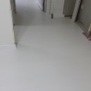 화이트카사 이미지