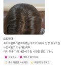 장평전통시장 | [대관령,횡계미용실] 새치염색, 뿌리염색잘하는미용실추천 밝은새치염색후기