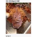아일헤어 이미지