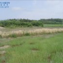 마산초등학교용전분교장 이미지