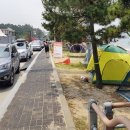 ♡__주행·주정차 차량 뒤섞여 난리..태안 만리포해변 '몸살' 이미지