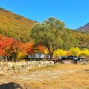 산솔캠핑장 이미지