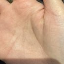 드림스타트_금학사무소 | 슬립노모어(sleep no more) 서울 후기 [9](1206)