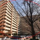 조현이비인후과의원 이미지