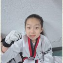 기품태권도 이미지