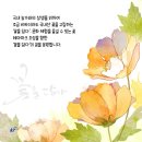 꽃을담다 이미지