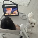 안뜨락 | 부산 대연동 안뜨락 정육점 후기뿅