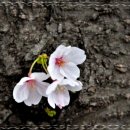 VIP온천호텔 이미지