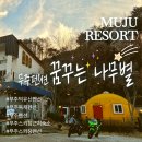 무주펜션 꿈꾸는 나무별 | 무주덕유산스키장 숙소로도 딱 좋아요~! : 무주펜션 꿈꾸는 나무별