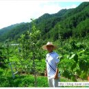 동희농원 이미지