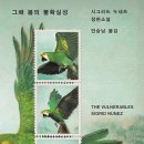 두드리네 이미지