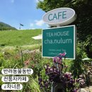 분당운중-D-1 | [경기/성남] 차 너른, 전통차 마시고 산책하기 좋은 운중저수지 반려동물 동반 카페 솔직 후기