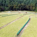 해도근린공원 내 장애인파크골프장 이미지