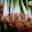 누리동의보감한의원 이미지