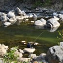 달빛강가 이미지