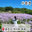 10/2(목) 문경 봉천사 개미취축제. 고모산성.오미자터널.진남교반. 이미지