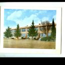 도리원초등학교 이미지